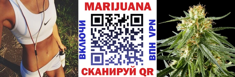 где продают   Лиски  Конопля сатива 